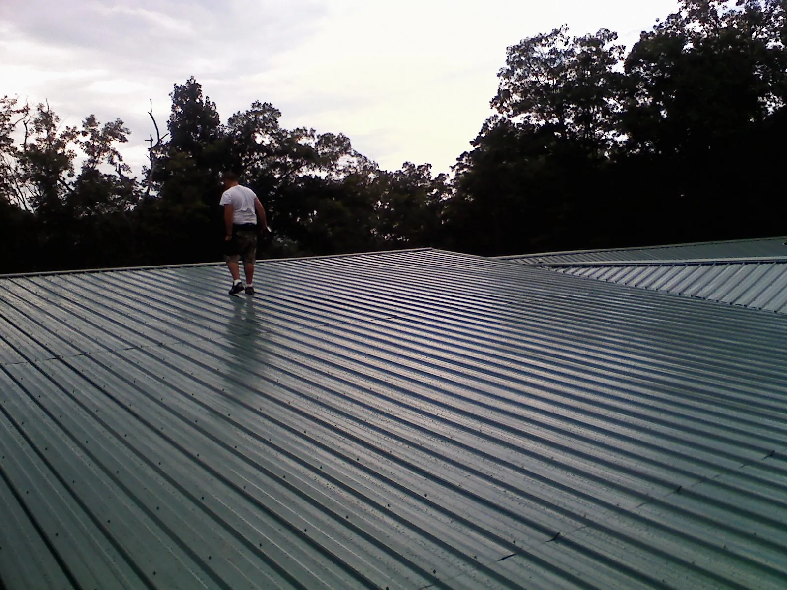 Roofer walking a wide expanse of new green metal roofing in Washington